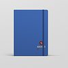 Healing Institute Notebooks